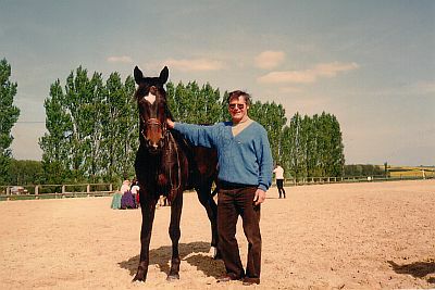 Un cheval de selle dans la cour de ferme