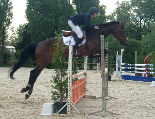 CADIX de MONTFLIX